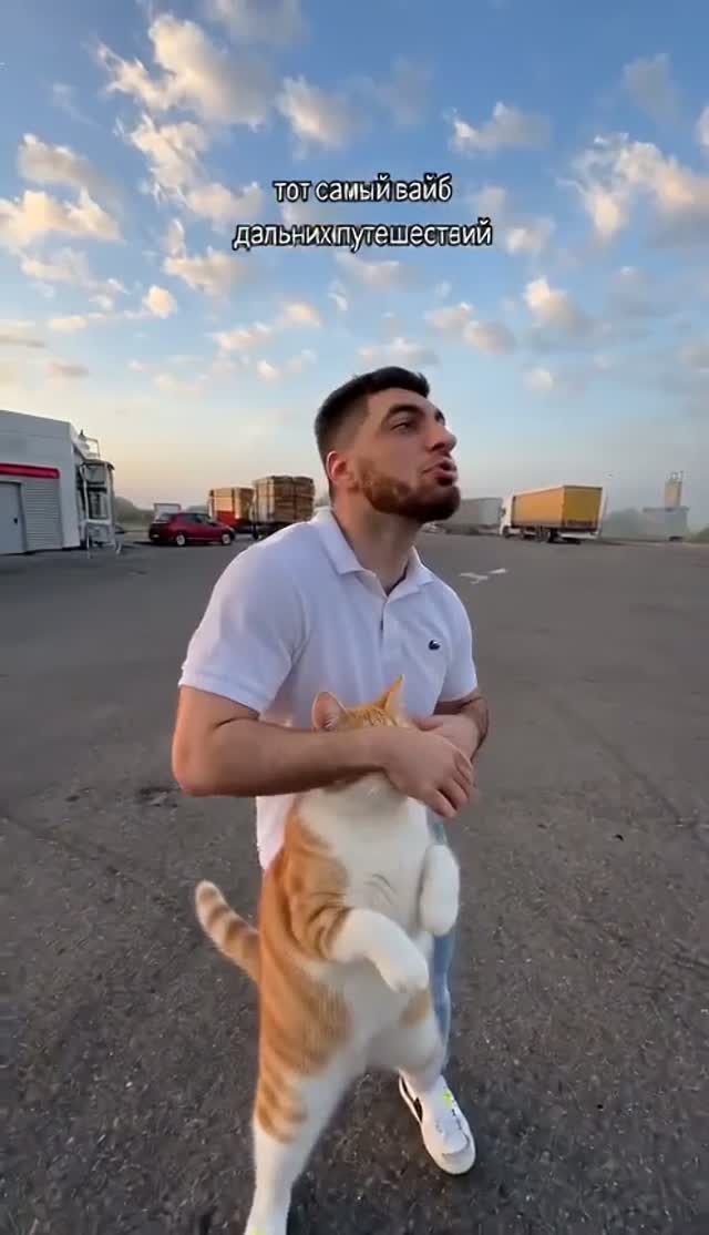 Gas Station Dance AI generated test sample